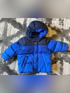 GAP Blue and Navy Toddler Puffer Jacket with Hood